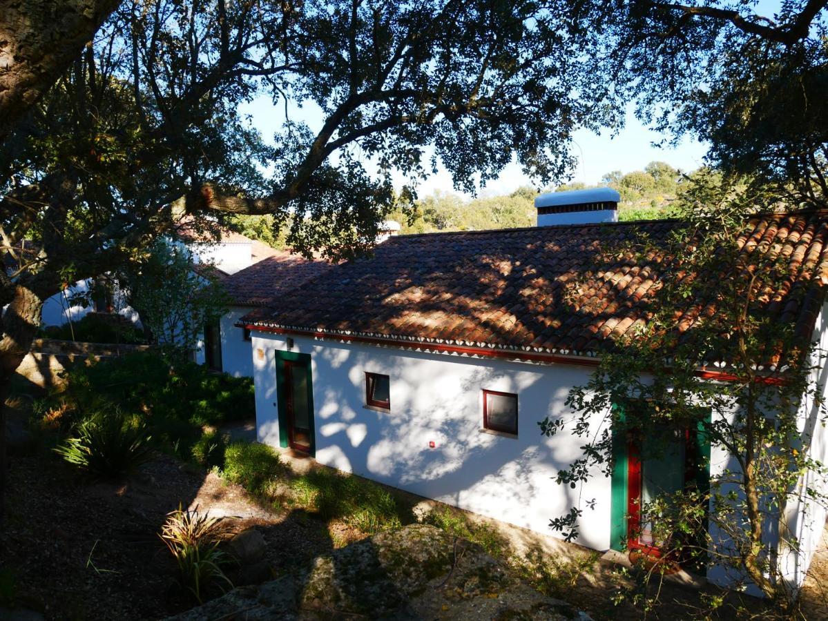 Serra Vida - A Place Of Presence Santo António das Areias Zewnętrze zdjęcie