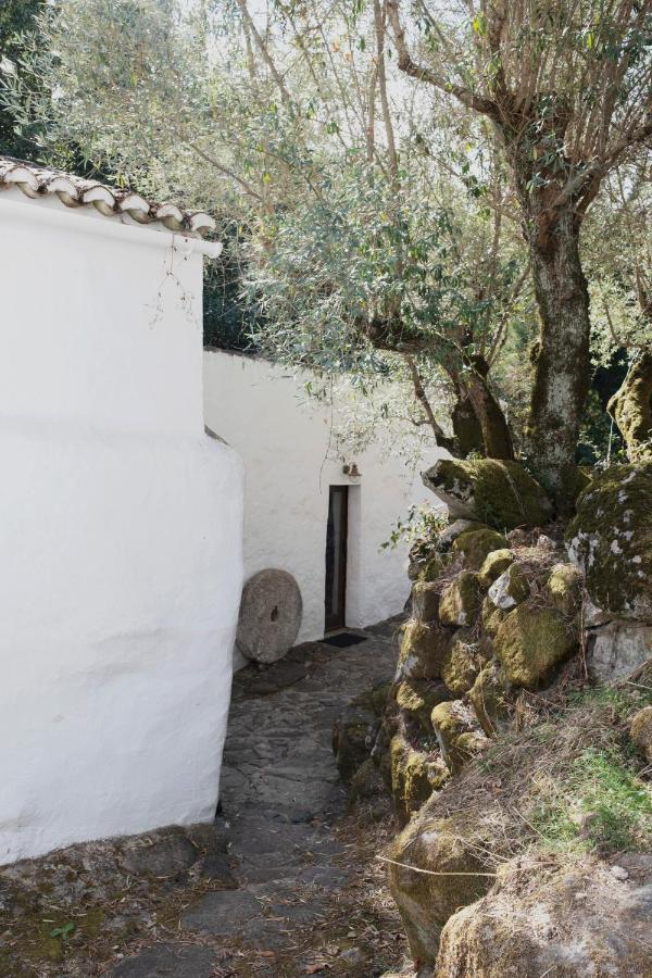 Serra Vida - A Place Of Presence Santo António das Areias Zewnętrze zdjęcie