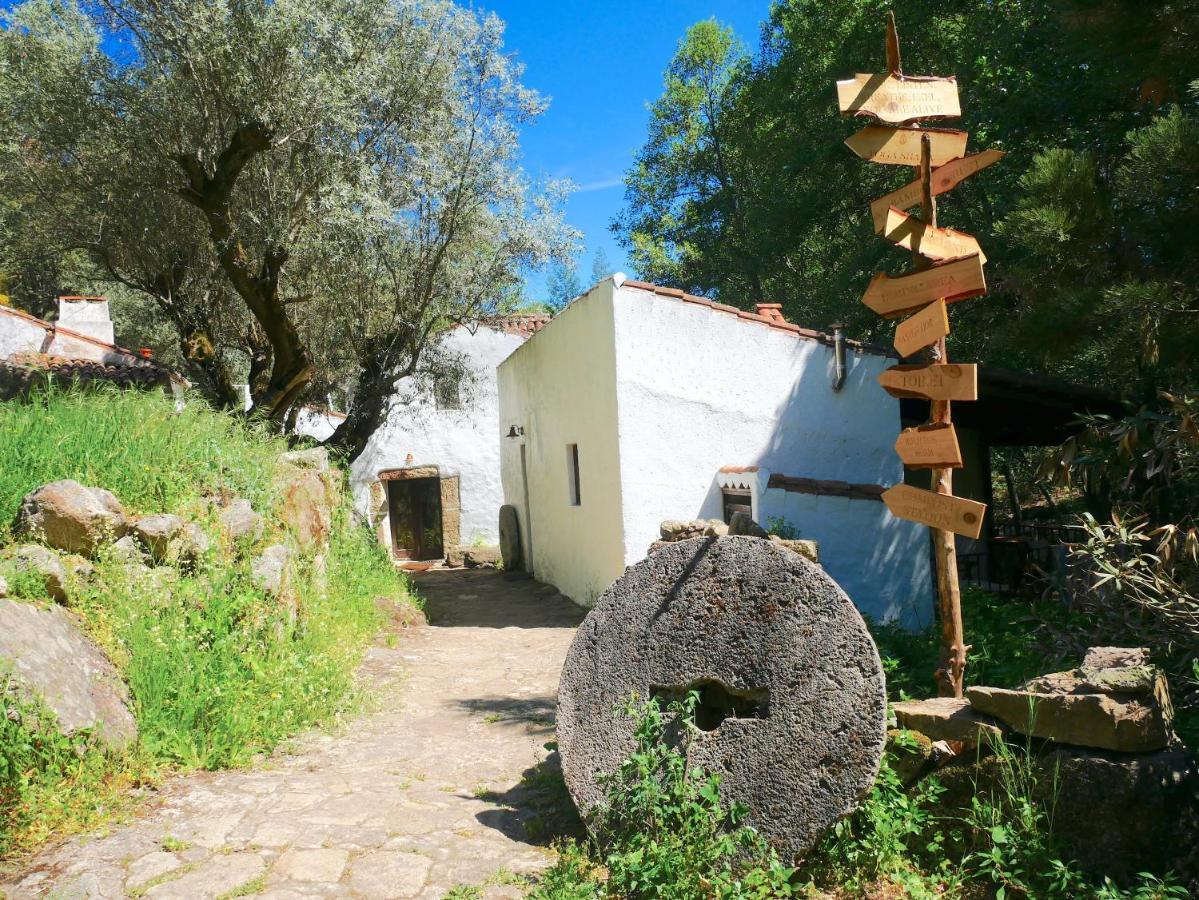 Serra Vida - A Place Of Presence Santo António das Areias Zewnętrze zdjęcie
