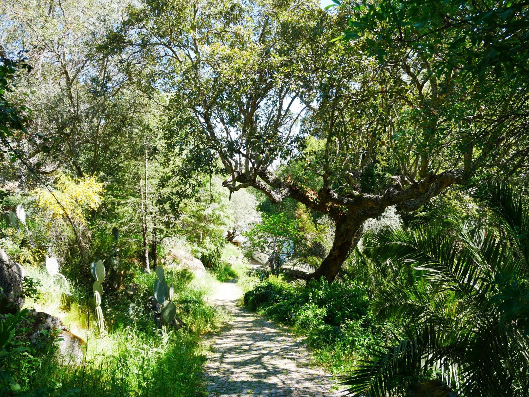 Serra Vida - A Place Of Presence Santo António das Areias Zewnętrze zdjęcie