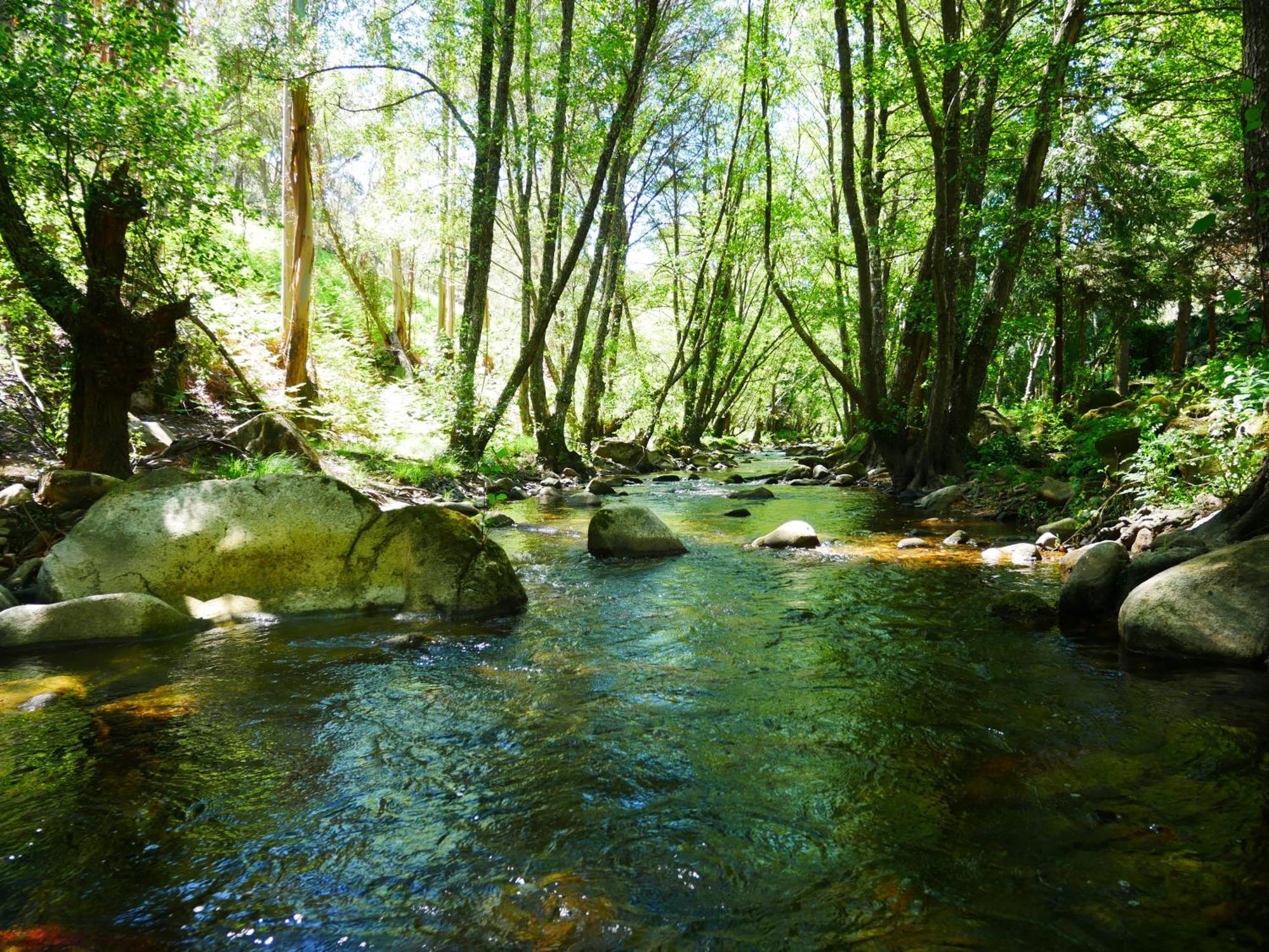 Serra Vida - A Place Of Presence Santo António das Areias Zewnętrze zdjęcie