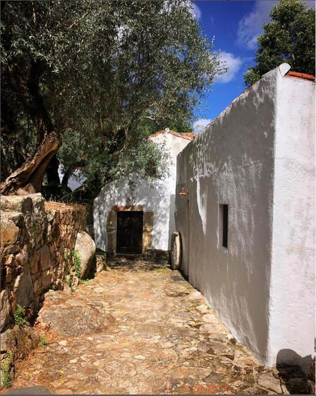 Serra Vida - A Place Of Presence Santo António das Areias Zewnętrze zdjęcie